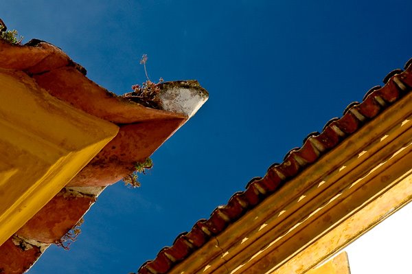 [DSC_7569001.jpg]