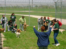 LOS PERROS Y LOS RECLUSOS