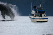 Another Day on the Water
