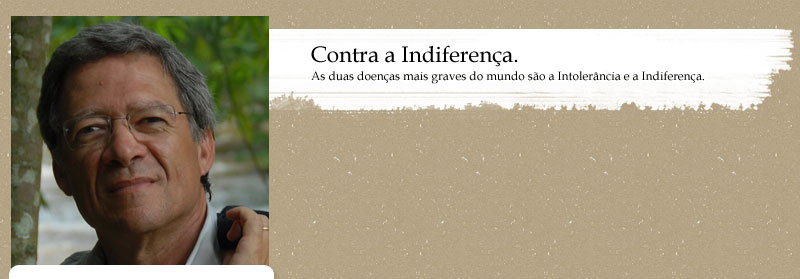 [fernandonobre_header.jpg]