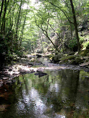 cascades hike, i think