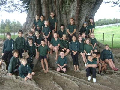 Room 13 Kids