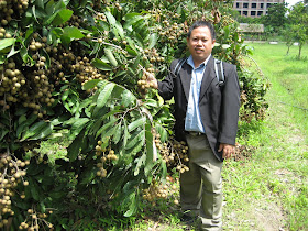Anim Agro Technology: Longan Technology in Chiang Mai, Thailand