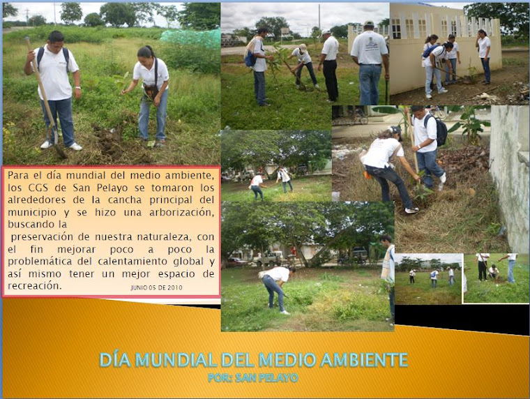 RESCATANDO NUESTRO MEDIO AMBIENTE