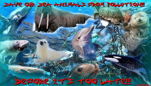 Save The Sea Animals!!!