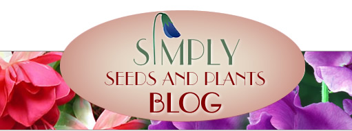 News from the Nursery