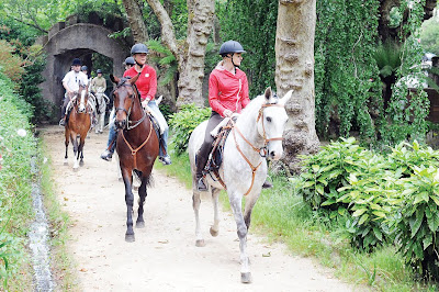 turismo+equestre.jpg