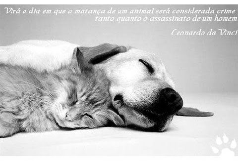 [Dia+dos+Animais+II.bmp]