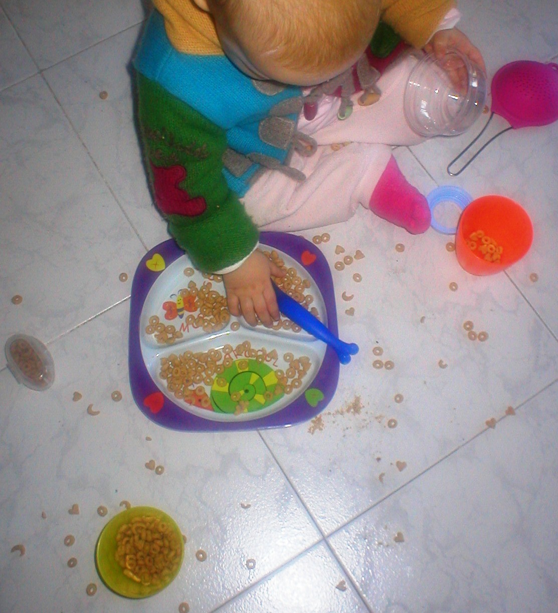 [P1010004.JPG]