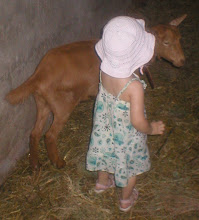 Eu e os meus amigos animais...