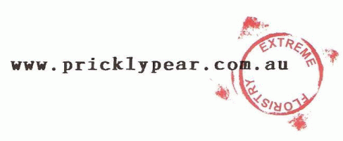 Prickly Pear Blog