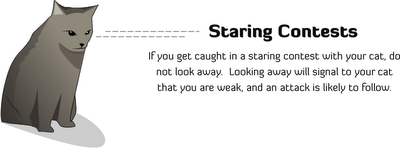 [cat_plotting_kill_you_3.png]