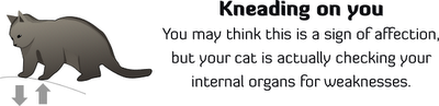 [cat_plotting_kill_you_5.png]