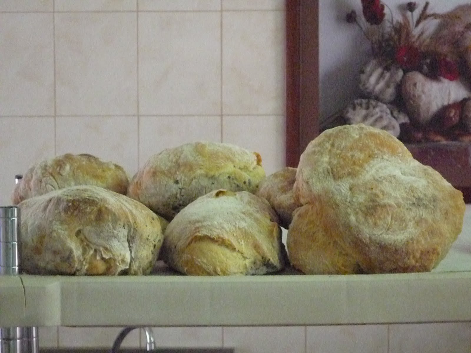 [P1040511.JPG]