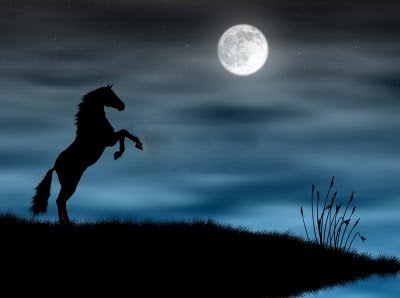  * ✿ UN  MUNDO DE MAGIA , EN DONDE TAMBIEN EXISTEN LAS HADAS ... ✿ *  - Página 3 Caballo+luna