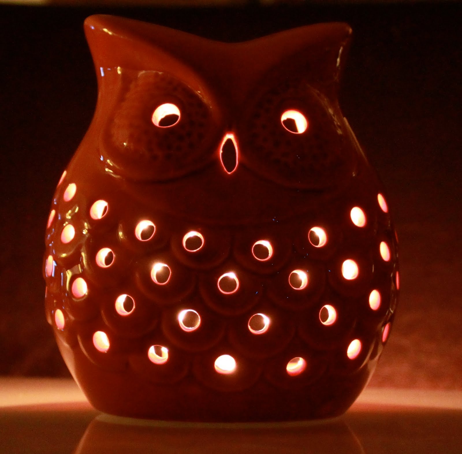 everywhere orange Orange Owl