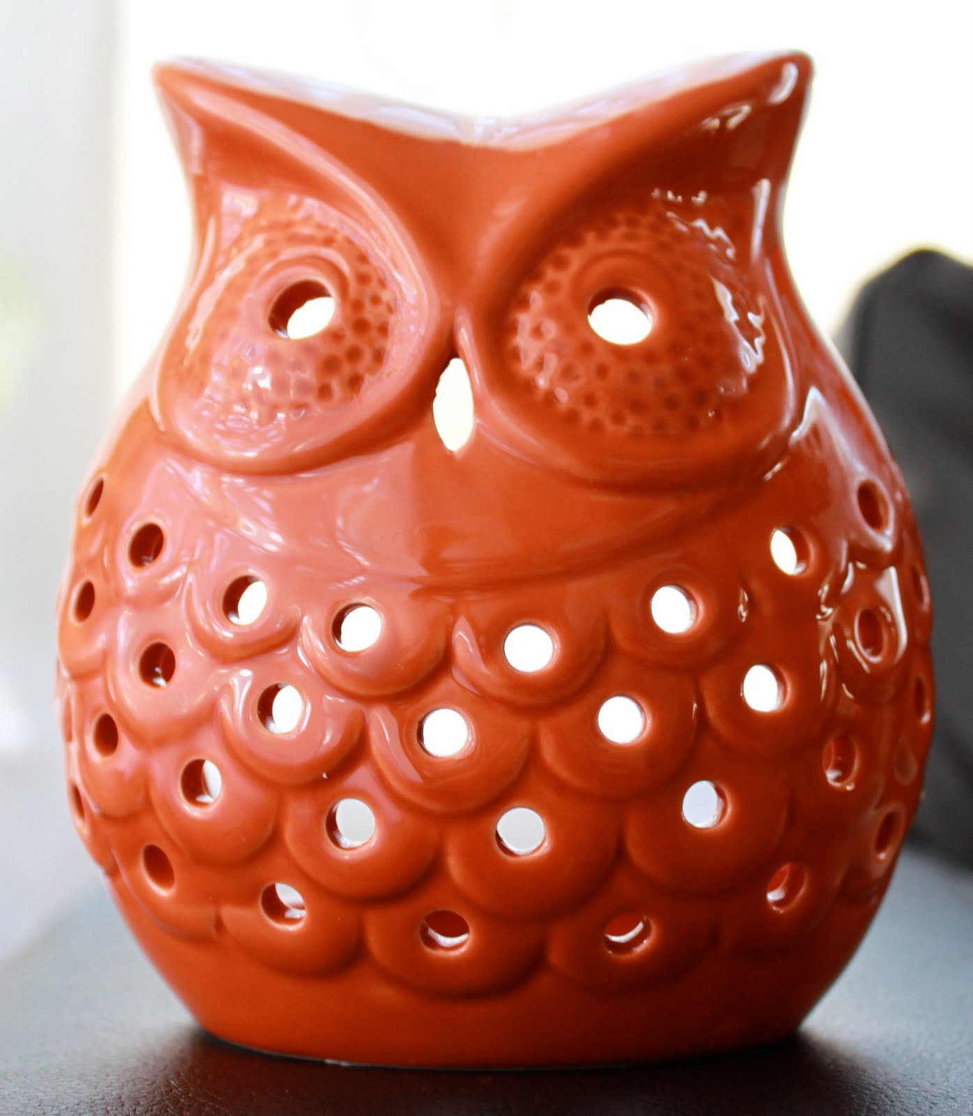 everywhere orange Orange Owl