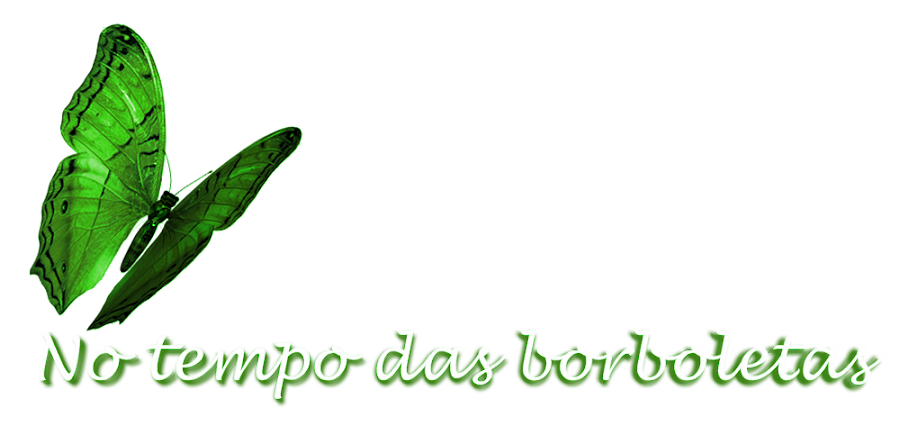 No tempo das borboletas