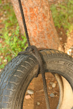 Nostalgia...who doesn't love a tire swing?