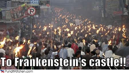 political-pictures-rioting-crowd-torches-frankenstein.jpg