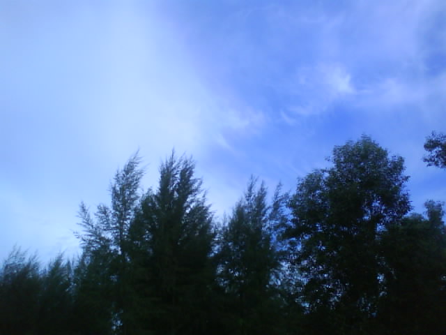 [DSC01107.JPG]