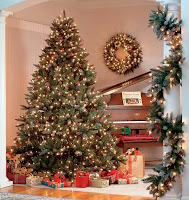 Hawthorne Christmas Tree