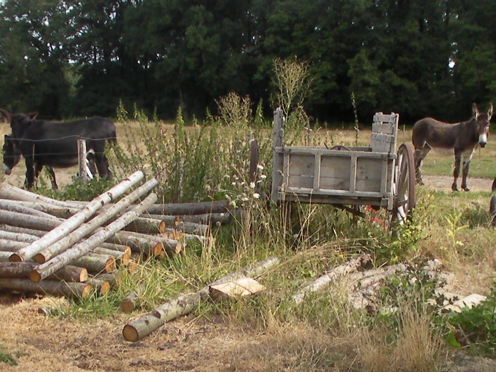 rencontre hors normes