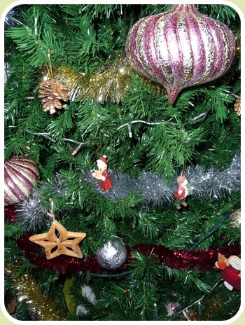 [natal1.jpg]