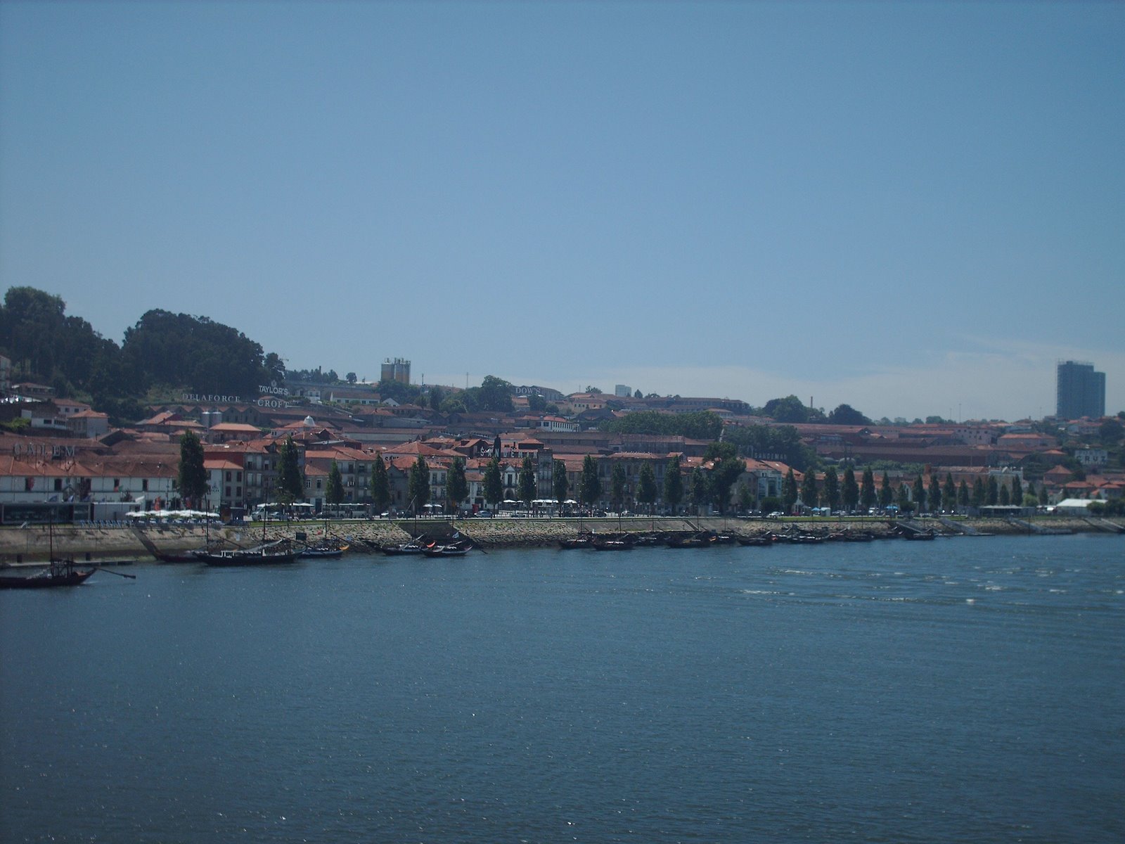 [HPIM0503.JPG]
