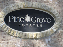 Pine Grove Estates Roswell GA Neighborhood