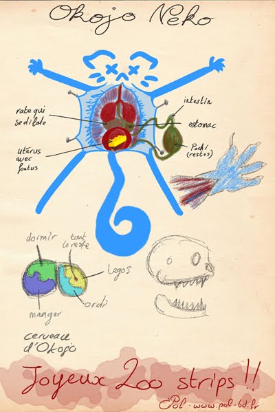 [dissection+okojo+web_redim.jpg]