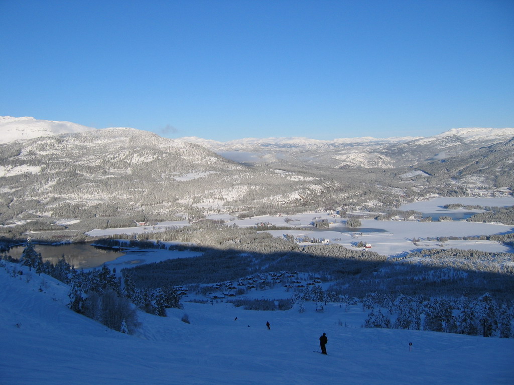 [IMG_1044.JPG]