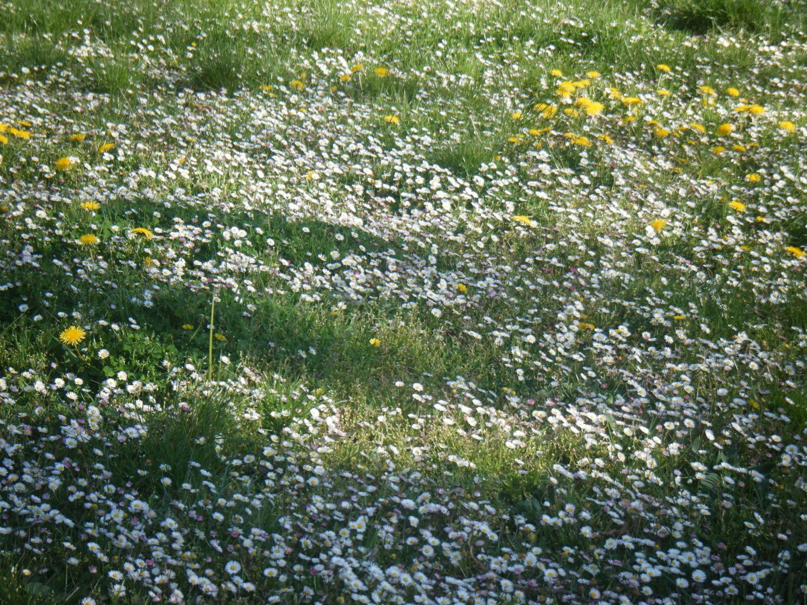 [DSCF0604.JPG]