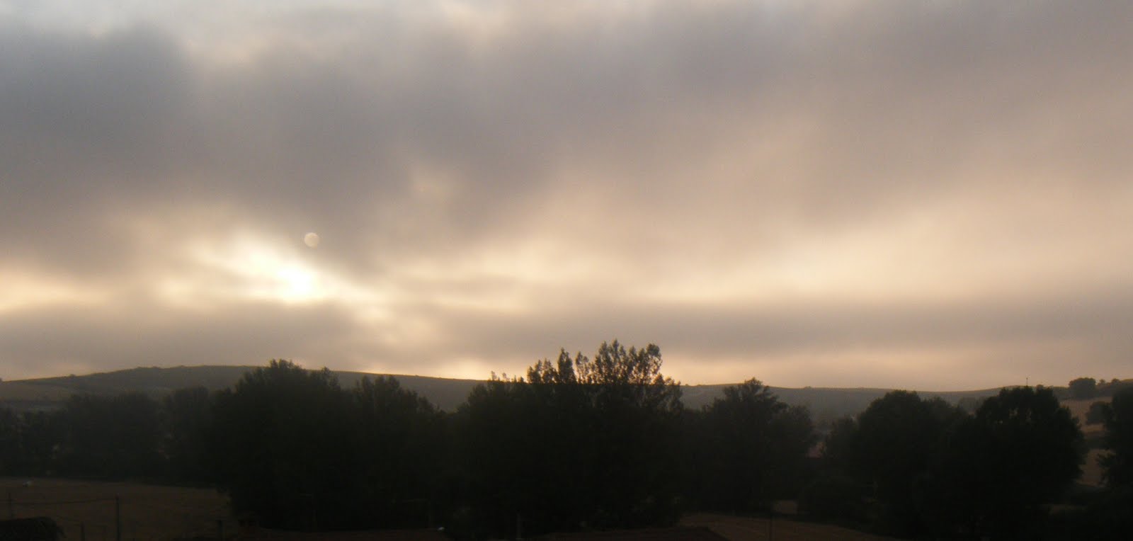 [AURORA+PALACIEGA.JPG]