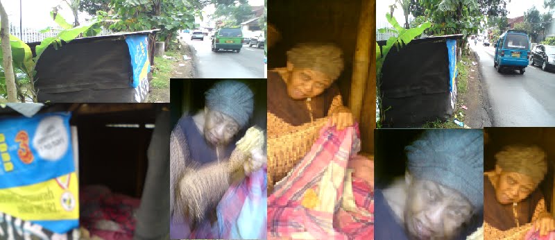[palasih.bmp]