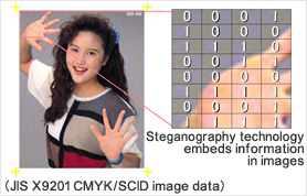 exiftool examples steganography exiftool examples steganography
