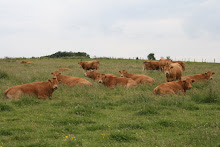 la photo du 13 juin 2008