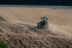 la photo du 9 septembre 2009 (480)