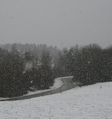 la photo du 4 décembre 2009 (564)