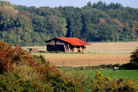 la photo du 12 octobre 2010 (866)