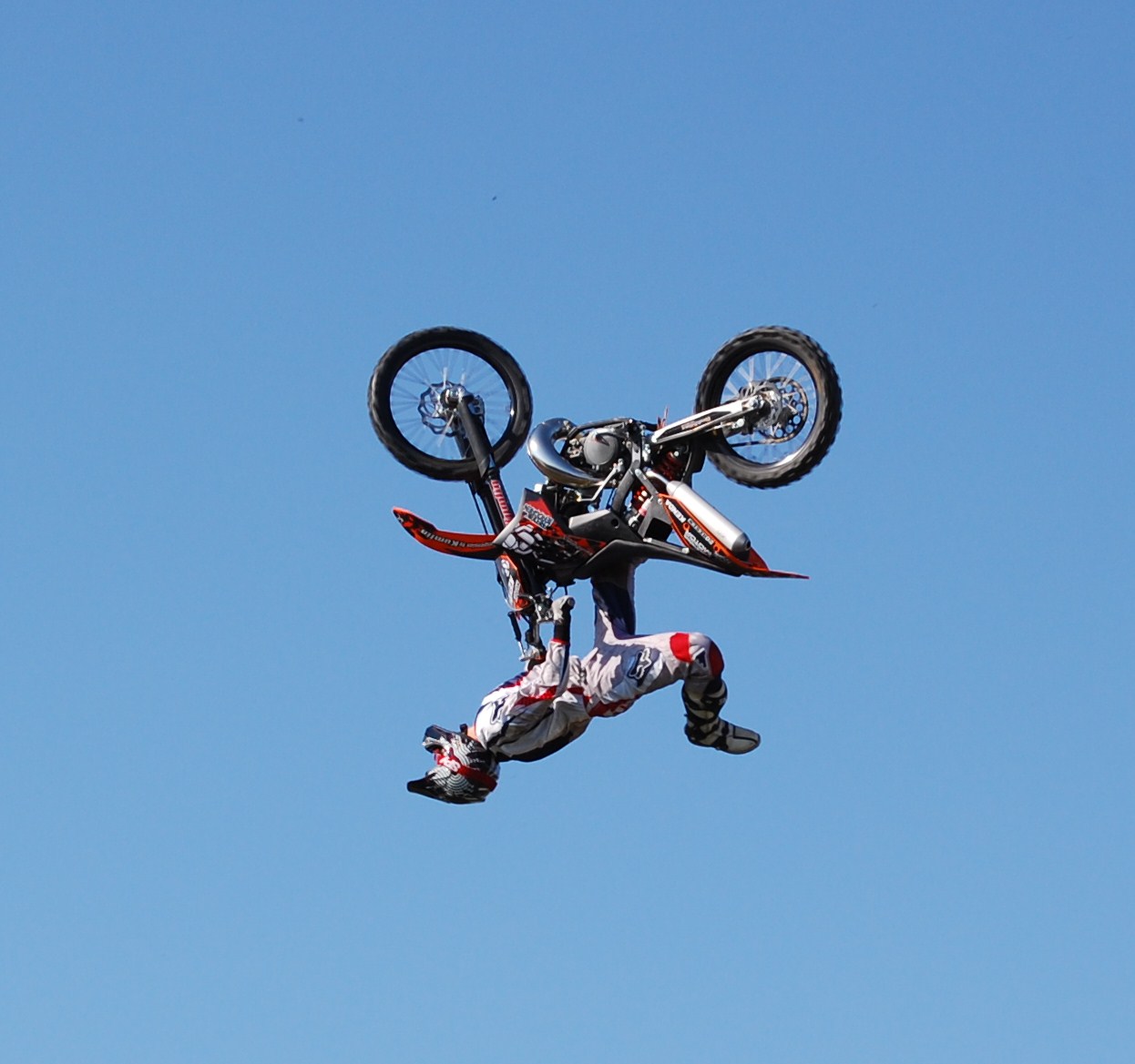 [DSC_0058.JPG]