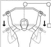 back lat pulldown