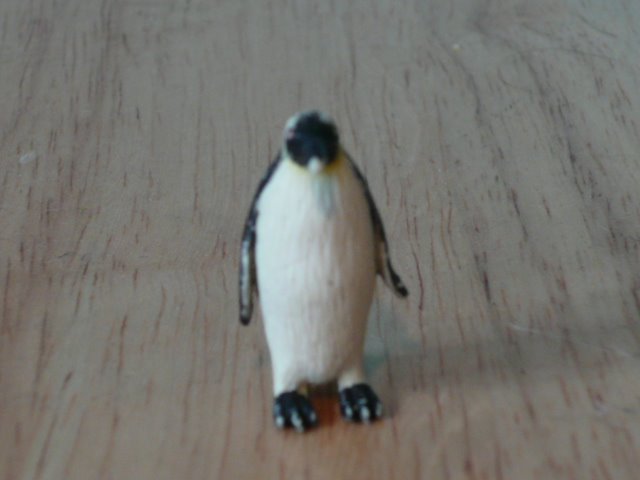 [penguin3.JPG]
