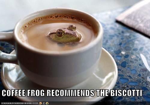 [funny-pictures-coffee-frog-biscotti3.jpe]