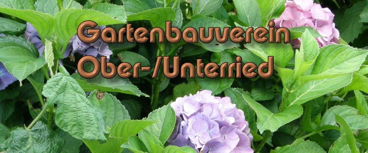 Ober-/Unterried Gartenbauverein