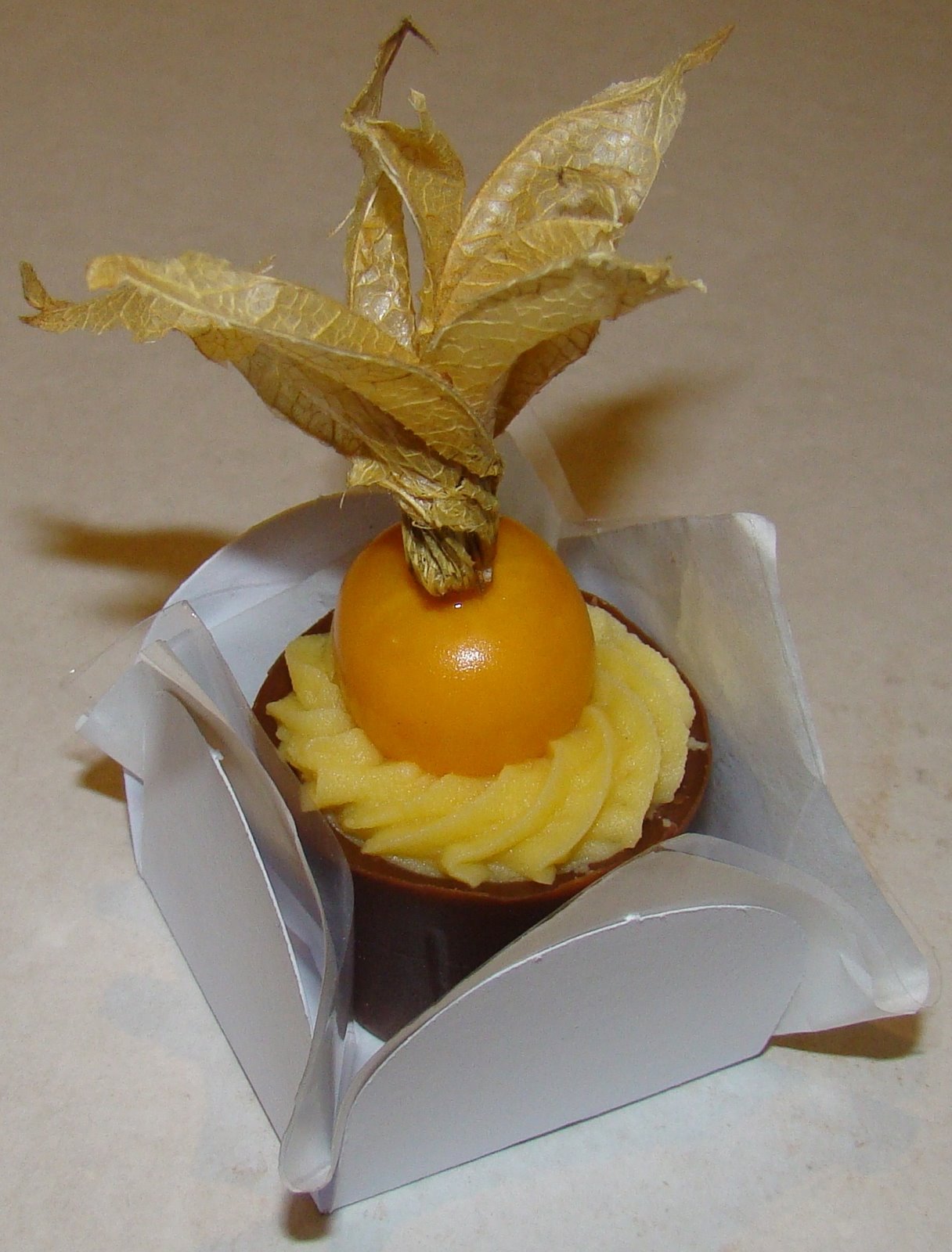 [Copinho+com+Physalis.JPG]