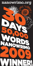 Nanowrimo winner