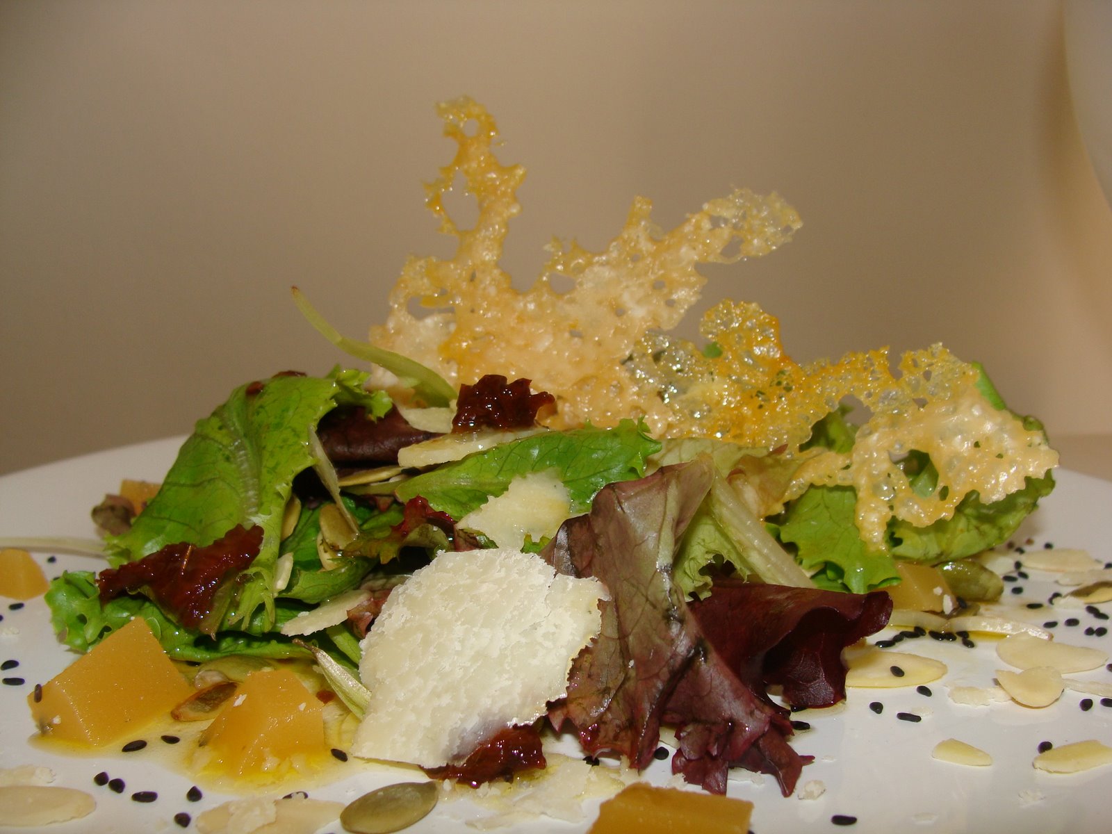[DSC04100.JPG]