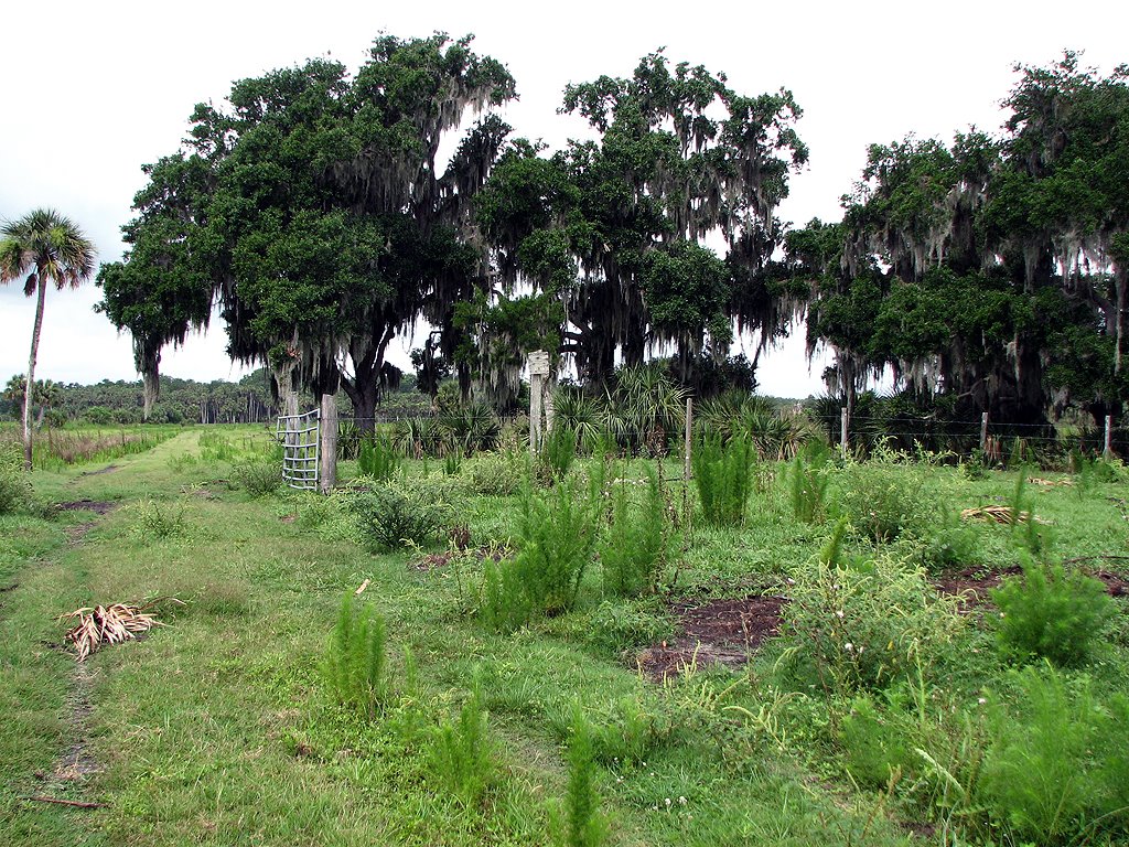 [Saddle+Mound-Resized.jpg]