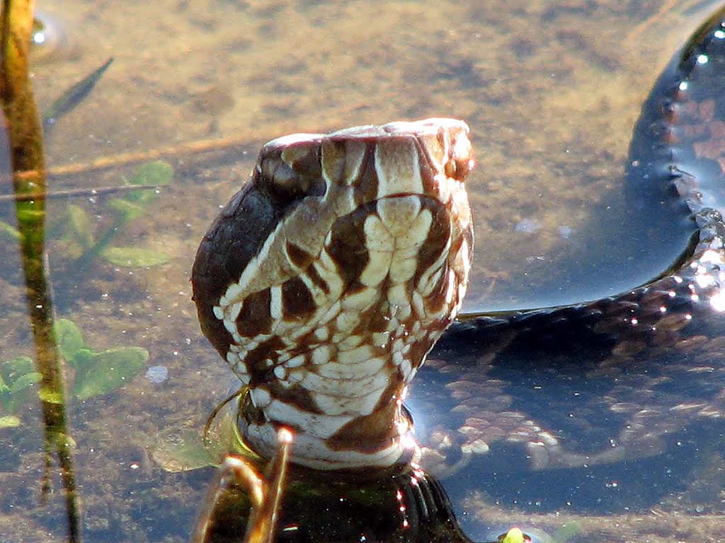 [2008_0202_093736-Resized.jpg]